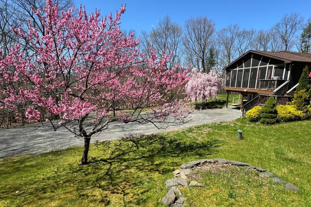 Woodland Whimsy A Private Escape, Hot Tub, Pool, Sunroom Saugerties Exterior photo